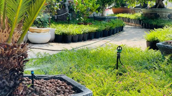 Hệ thống tưới cây tự động: Sự lựa chọn thông minh cho vườn xanh