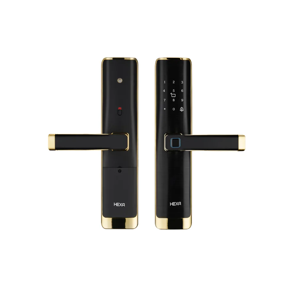 Khóa cửa thông minh Hexa L100