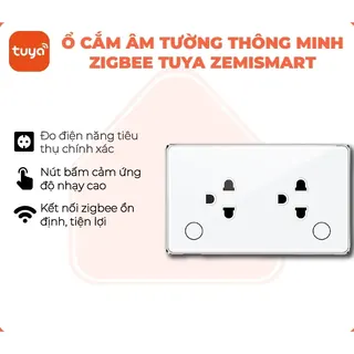 Ổ cắm âm tường thông minh Tuya Smart Life Zemismart